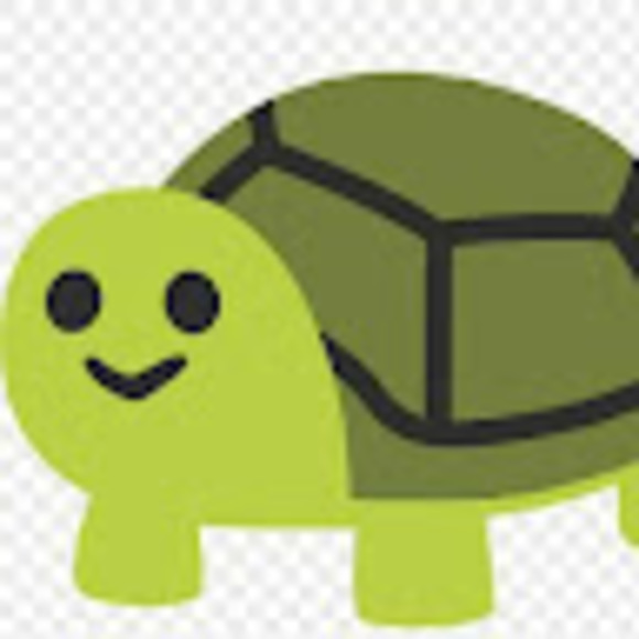 sbaizejr